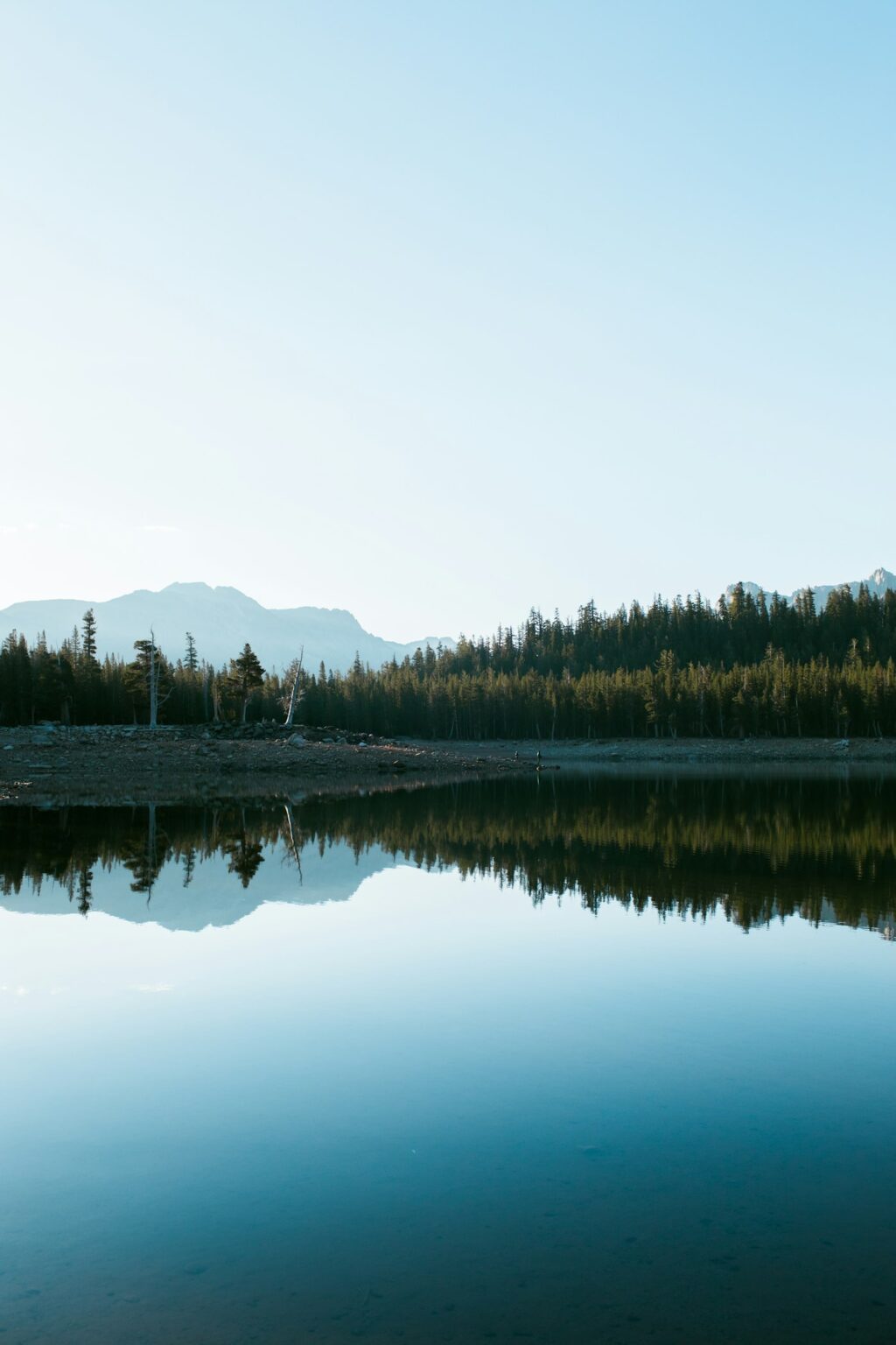 A still lake reflecting the treeline under a clear sky